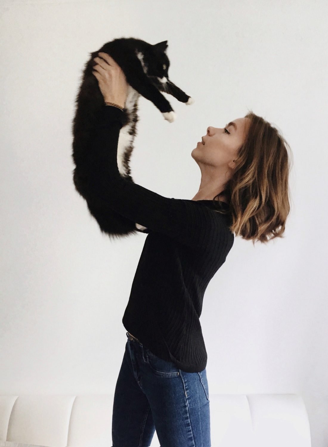 cat.jpg cat.jpg