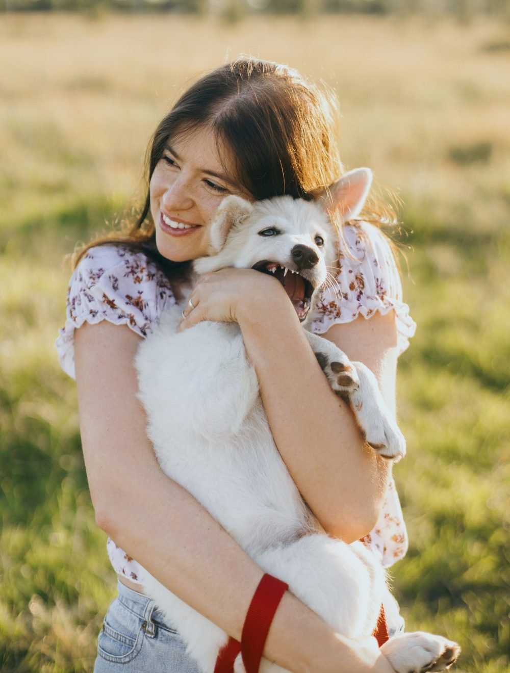 stylish-young-woman-hugging-cute-white-puppy-in-warm-sunset-light-in-summer-meadow.jpg stylish-young-woman-hugging-cute-white-puppy-in-warm-sunset-light-in-summer-meadow.jpg